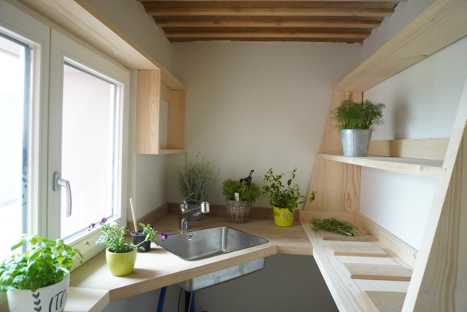 Die Blumenküche mit hellem Holz, Kräutern und viel Tageslicht
